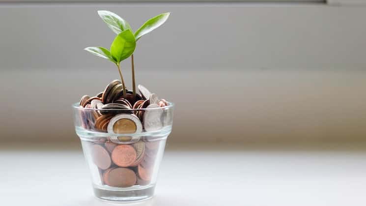 Picture of a plant growing out of a jar of money. Photo by Micheile Henderson.